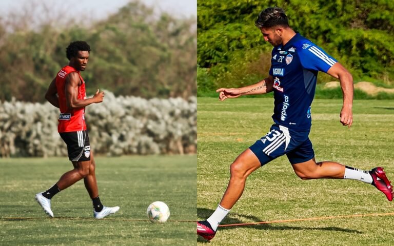 cats DIDIER - RIVERA