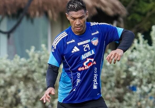 teo (1)