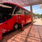 bus junior