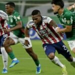 palmeiras 4 junior 1