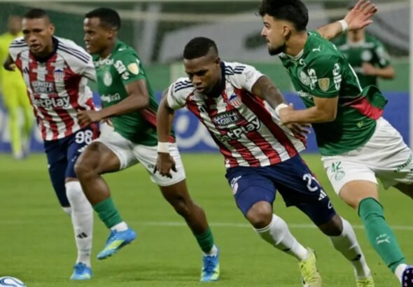 palmeiras 4 junior 1