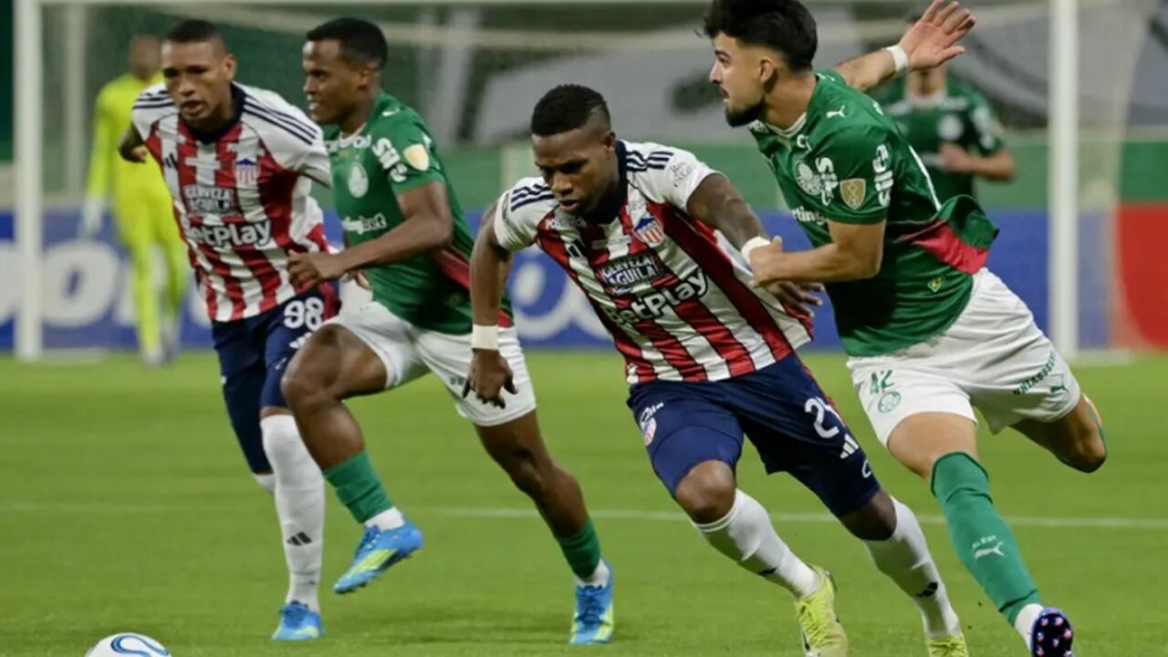 palmeiras 4 junior 1